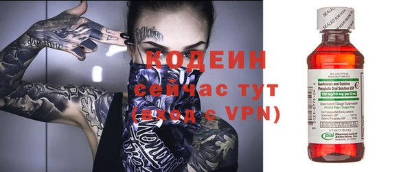 прущие грибы Россошь