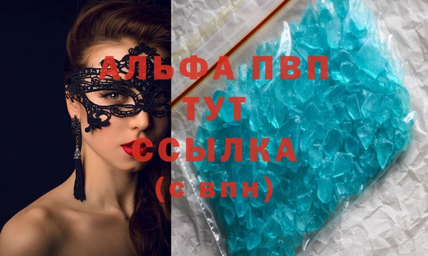 прущие грибы Россошь