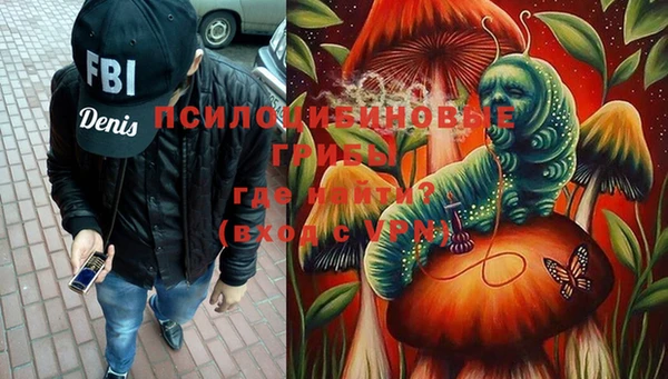 прущие грибы Россошь