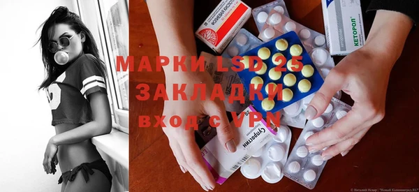 прущие грибы Россошь