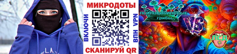 Галлюциногенные грибы мицелий  Купить где  Сургут 